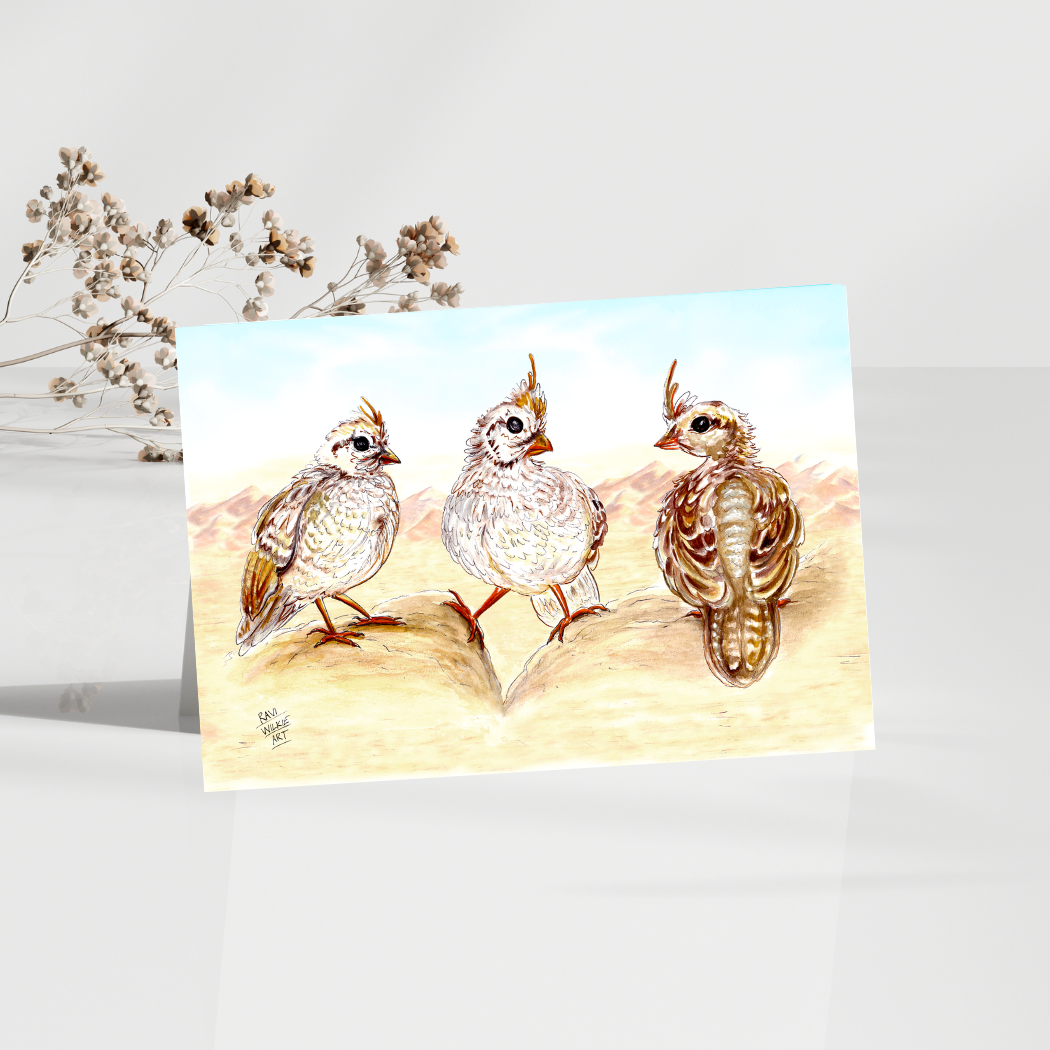 Studio Card  Sale